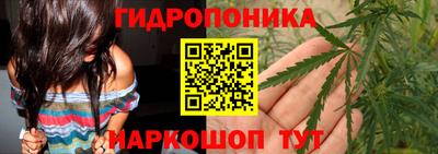 гидропоника Тара