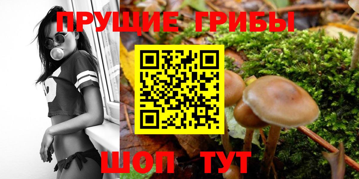 Галлюциногенные грибы GOLDEN TEACHER  Галлюциногенные грибы Cubensis  Алексин  Вход с VPN 